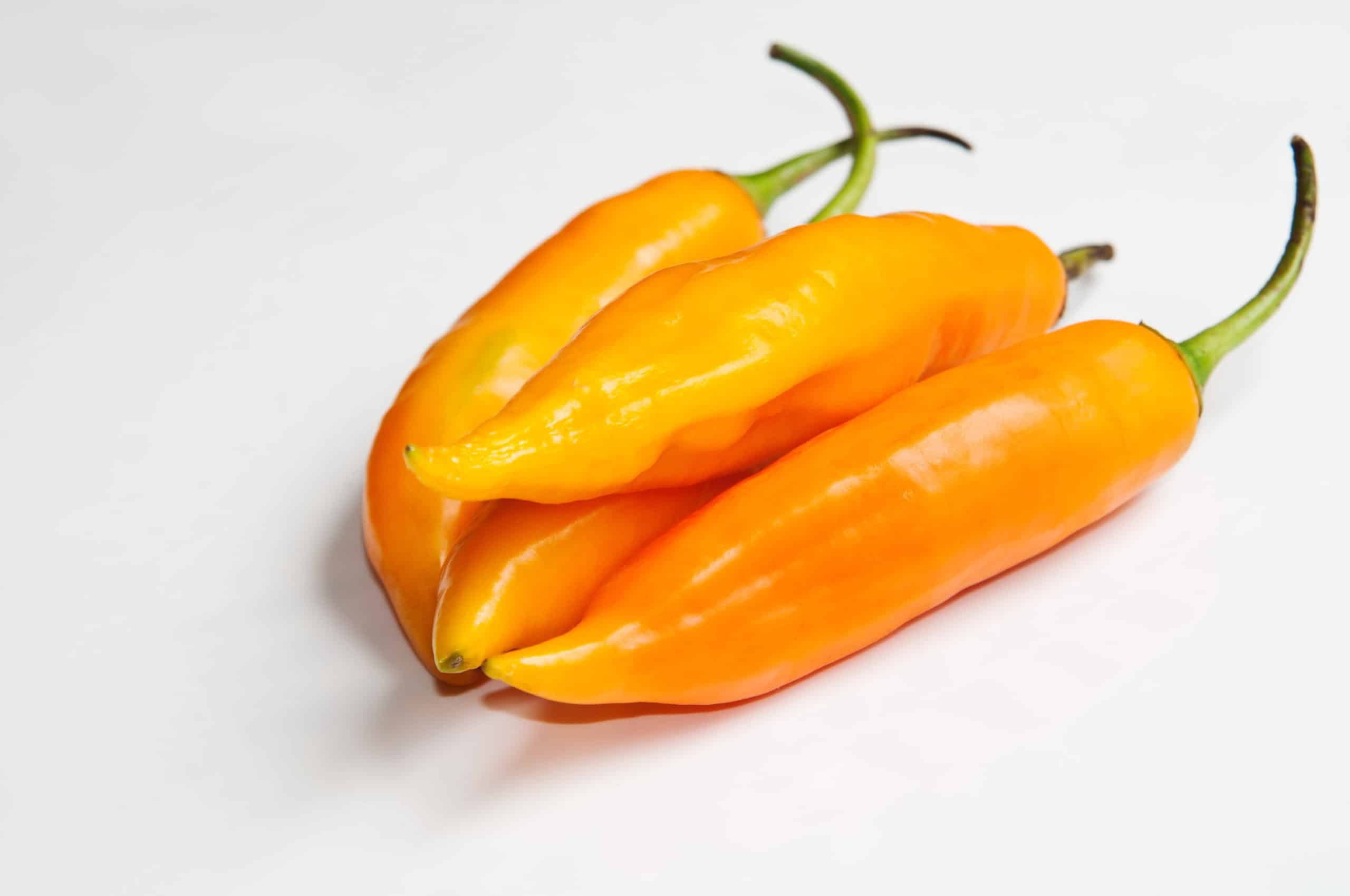 aji amarillo peruano