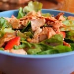 saludable ensalada de pollo