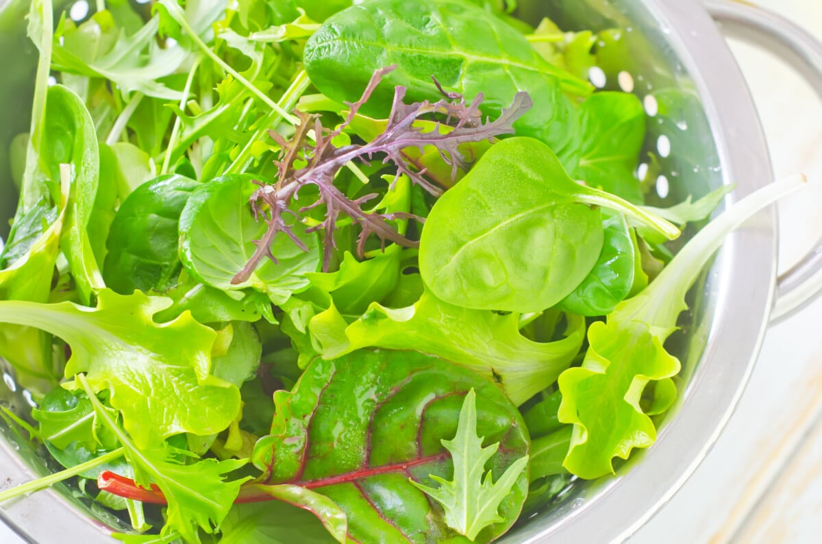 ensalada de hojas verdes